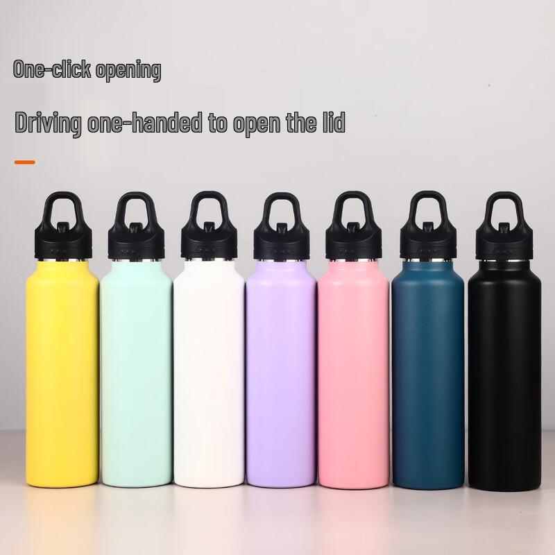 Ting Le 316 Stainless Steel One-Touch Insulated Water Bottle