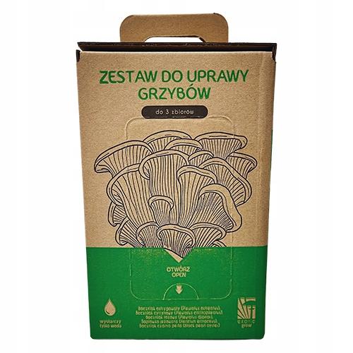 Boczniak Ostrygowaty Mushrooms Grow Kit Własna Uprawa W Domu