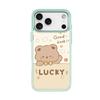 Applicable to Apple 17 mobile phone case, advanced sense 16 replaceable back plate 15promax magnetic mobile phone case, safe and smooth bear