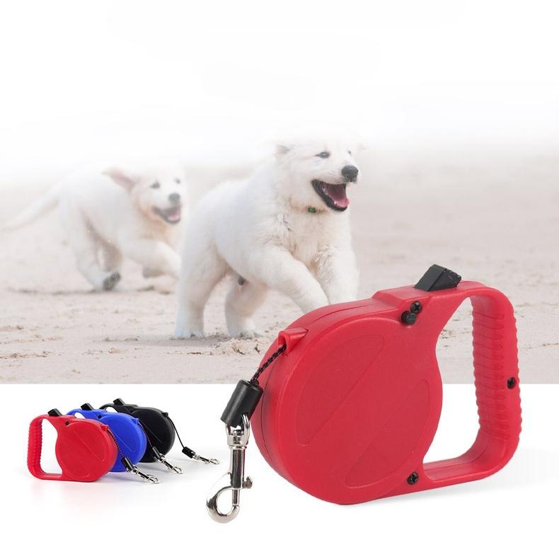 Pet Leash, Cat and Dog, Automatic Retractable Leash, Teddy Small Dog Leash, Chain, Dog Walking Leash