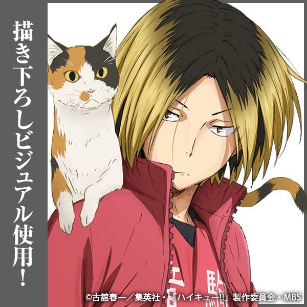 COSPA Kozume Kenma Acrylic Stand [Official] Haikyu!! (Large) Ver.1.0