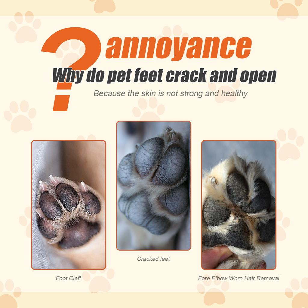 Pet Paw Balm Wax Moisturizing Cream for Dogs Cats Prevent Cracked Paws Noses Winter Care Foot Pad Protection Crack Soother 50g
