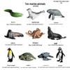 Marine Animal Simulation Models: Jellyfish, Octopus, Sea Shrimp, Sea Anemone, Squid, Horseshoe Crab, Crayfish, Arrowhead