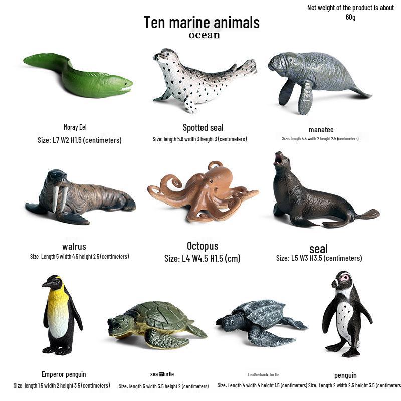 Marine Animal Simulation Models: Jellyfish, Octopus, Sea Shrimp, Sea Anemone, Squid, Horseshoe Crab, Crayfish, Arrowhead