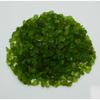 NATURAL 83 Ct Peridot Green Uncut Rough   Rare Loose Gemstone Lot