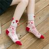 3/6 Pairs Christmas Socks Moisture Wicking Women Multi-Color Deer Stockings Cute Christmas Stockings Cartoon Design