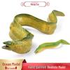 Realistic Marine Life Eel Toy for Kids - Cognitive & Educational