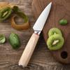 9pcs Japanese Knife Set Fish Slicing Cooking Santoku Knife High Carbon Steel Sashimi Sushi Multifunctional Chef Knife