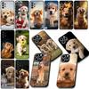 Golden Retriever Dog Pet Animal Phone Cover for Xiaomi Redmi Note 12 11 10 A3 Pro 10A 10C 12C Note12 5G Casing Coque Case