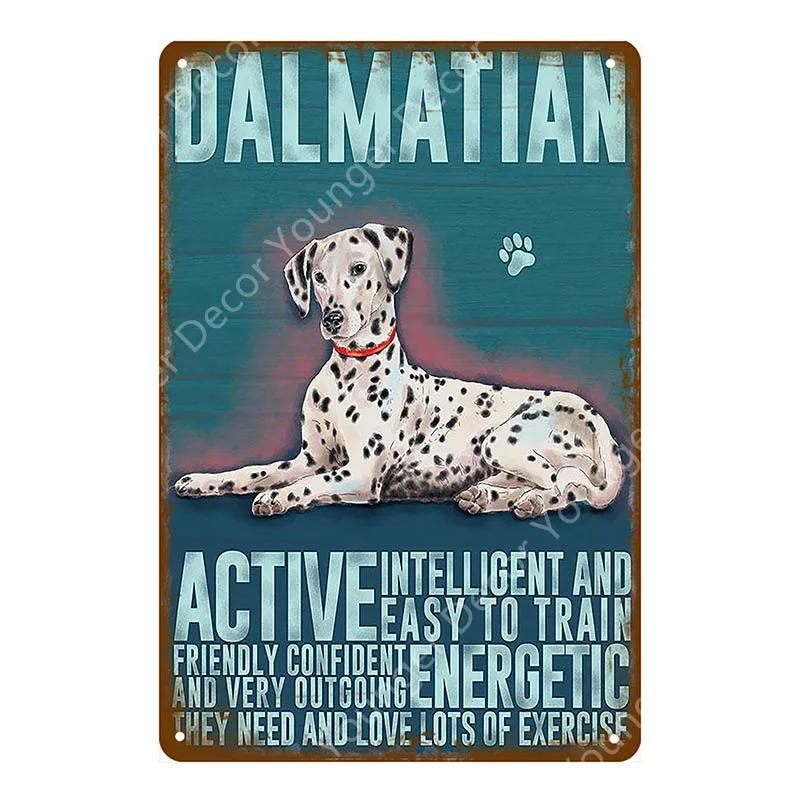 Animal Dog Cat Vintage Metal Poster Home Decor Retro Tin Sign For Pub Bar Club Decorative Plate Poodle Wall Plaque