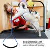 Dog Cat Grooming Single Noose Hoop for Pet Table Arm Bath Tub