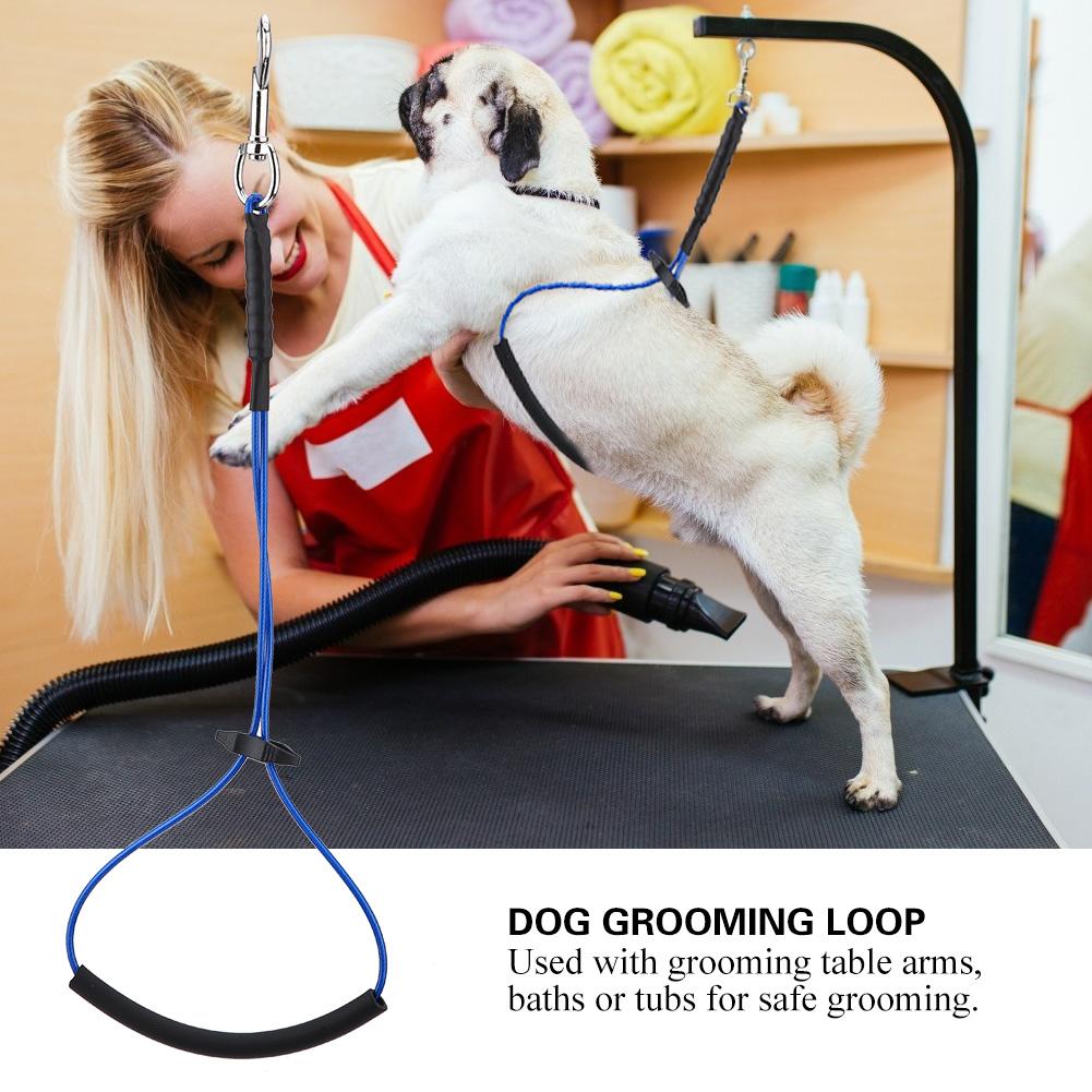 Dog Cat Grooming Single Noose Hoop for Pet Table Arm Bath Tub