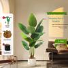 Luxurious Indoor Bionic Bird of Paradise Faux Plant