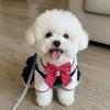Autumn and Winter Pet Plush Warm Shirt Teddy Cat Dress Dog Coat Dog Clothes for Small Dogs Puppy Clothes