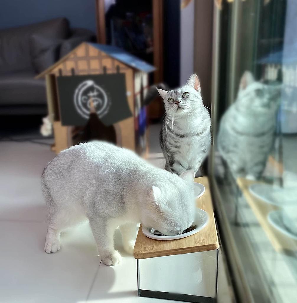 Cat Cat Cat Food Tableware Stunt Cat School Pet Food Bamboo Cat Rice Ceramic Food Double Snack For Small Ceramic Food Tableware, Bowl, Container,