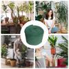 Tree Wrap 49ftX4.72in Cutable Plant Protective Tape Antifreeze Tree Trunk Wrap Protector for Moisture Retention Frost Summer