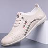 Summer Trendy Shoes Fashionable Versatile Personality Men's Casual Business Leather Shoes Crocodile Pattern Leather Surface Trend One Pedal Men's Shoe