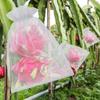 50/100Pcs Fruit Protection Netting Bags with Drawstring Reusable Grape Grow Bags Strawberry Cover Mesh Bags for Pest Control
