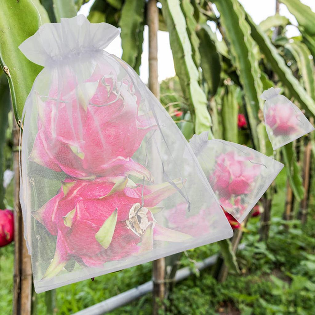 50/100Pcs Fruit Protection Netting Bags with Drawstring Reusable Grape Grow Bags Strawberry Cover Mesh Bags for Pest Control