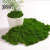 Long-lasting Artificial Moss Centerpieces Fish Fairy Gardens DIY Crafts 100/150/200/500/1000G Green Table Fake Tank Microlandscape