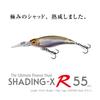 R 55 GG Megabass Kinkuro SHADING-X