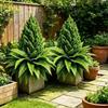 2Pcs Anti-Shedding Faux Cypress Branch Tree UV Resistant Cypress Boston Fern Combo  Balcony Porch