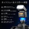 Godox iT32 Camera Flash with X5S Compatible with Sony Separate Trigger Supports and Lightweight at Just Approximately 510 Full Fast Compatible with