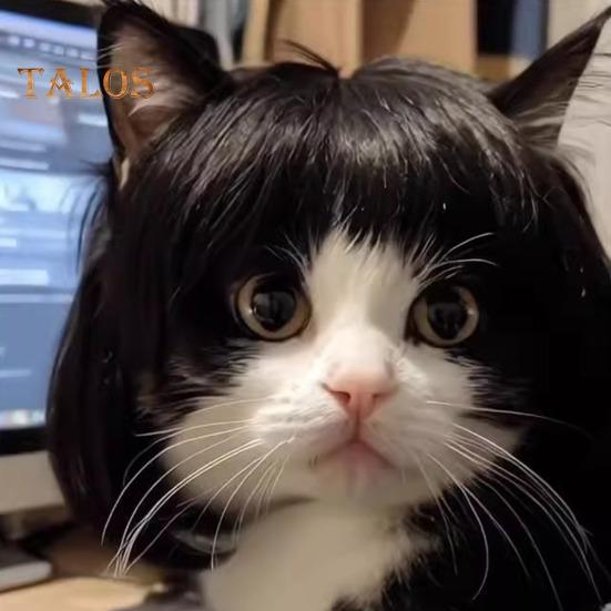 Perruque amusante pour animal de compagnie, déguisement de cosplay, aspect réaliste, ajustable, facile à nettoyer, pour chien et chat de taille moyenne et grande taille, décoration