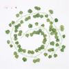 Plant Garland Ivy Decor Plastic Hot Green Home Foliage Flower Decorations Leaf