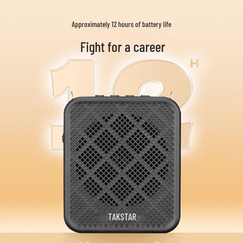 TAKSTAR E150W Wireless Clip-on Amplifier