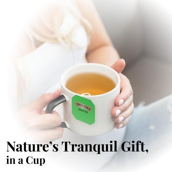 Twinings Czysta Zielona Herbata, 100 Torebek, Zielona Herbata, Doskonale Zrównoważona i Orzeźwiająca, 386 Gram