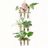 1pc Plant Propagation Tubes, 1/2/3 Tiered Wall Hanging Plant Terrarium with Wooden Stand Mini Test Tube Flower Vase Glass Planter for Hydroponic