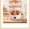 Multifunctional Mini Egg Steamer with Auto Power-Off