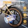 Jansno X70 20Inch Fat Tire Electric Bicycle 750W 48V 34AH Dual Battery 30MPH 80km/120km City Commuter Electric Bike for Adults