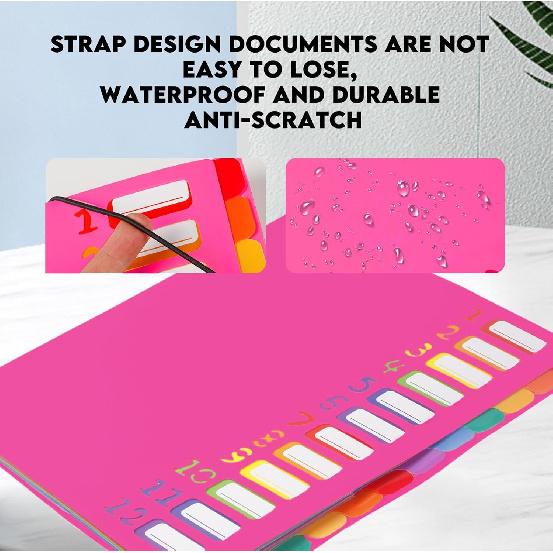 24 Pockets Expanding File Folder Organizer,Accordion File Organizer,A4 Letter Size,Rainbow Tab, for Home/Office/School Document Organizer (Rose Pink)