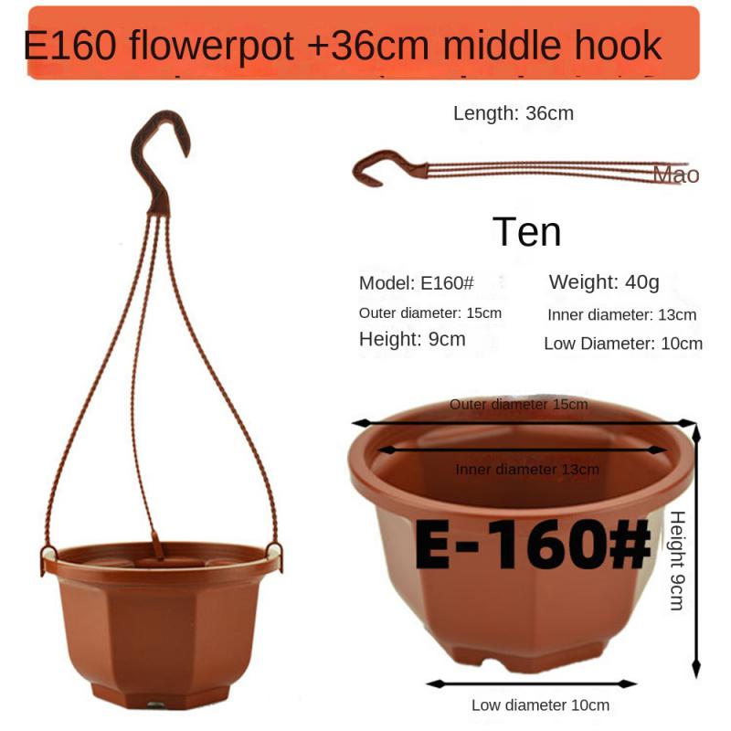 Saksıda Sarkıt Sepet Saksı Çiçekler Dekor Saksılar Sukulentler Kaktüs Saksı Bahçe Evleri Dış Mekan Bahçecilik Dekorasyonu