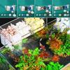 Silent Fish Tank Built-in Circulating Water Purifier Multifunctional Waterfall Filter Box  for Home