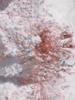 Children's 3D Flower Embroidered Organza Fabric In Stock
