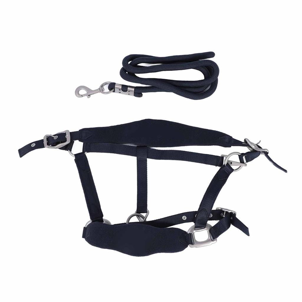 Horse Halter Set Prevent Rubbing Adjustable Horse Training Halter with 2m Horse Leash for Training D
