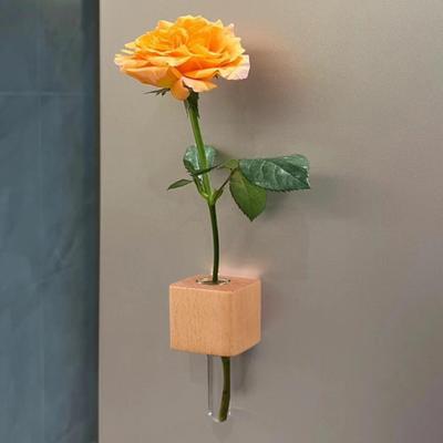 Decoración para el hogar
– Jarrones y floreros