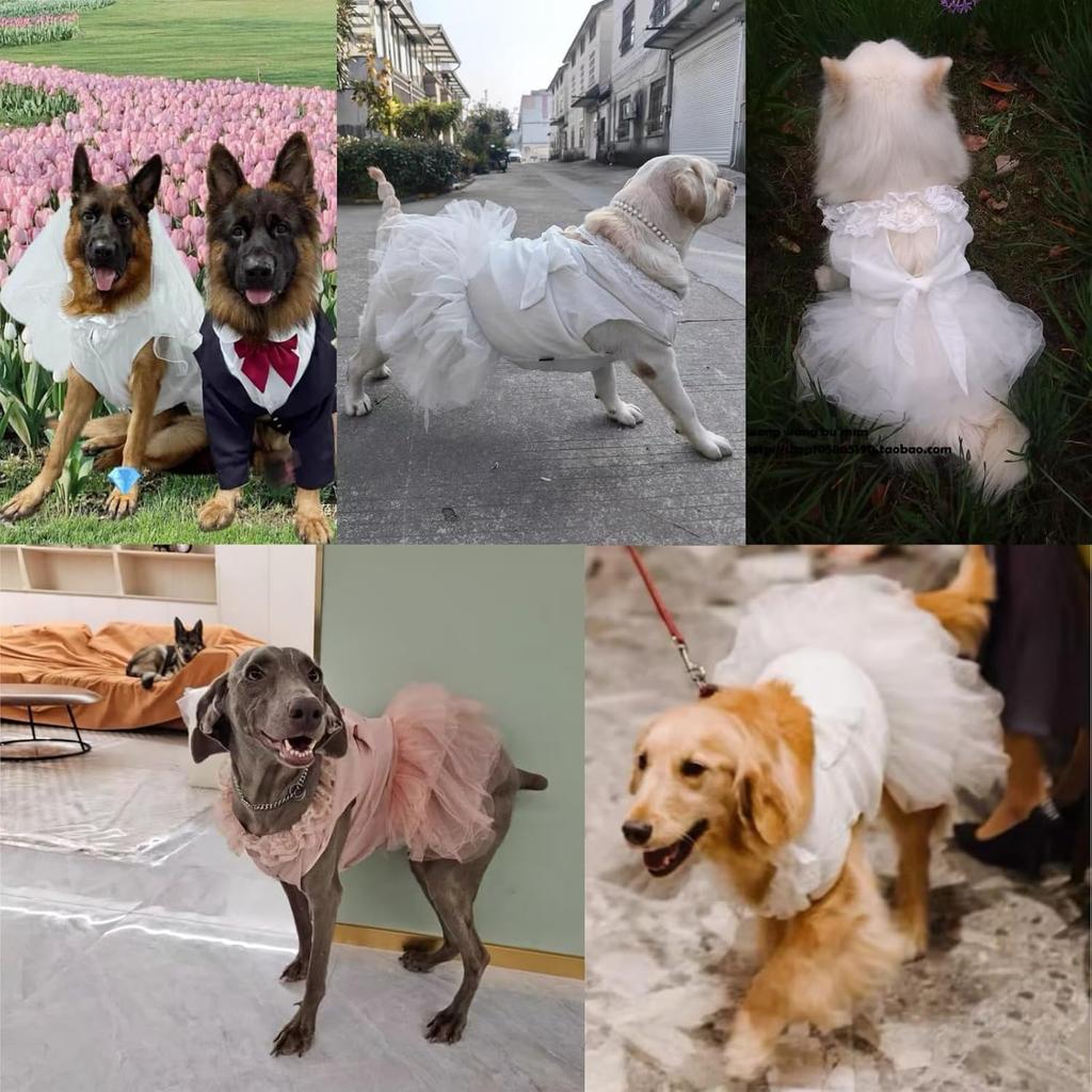 Luxury Dog Tulle Dress - Cute Princess Lace Wedding Dress with Flower Bowknot Multi-Layer Princess Tutu Skirt for Large Dogs - Pink, 2XL