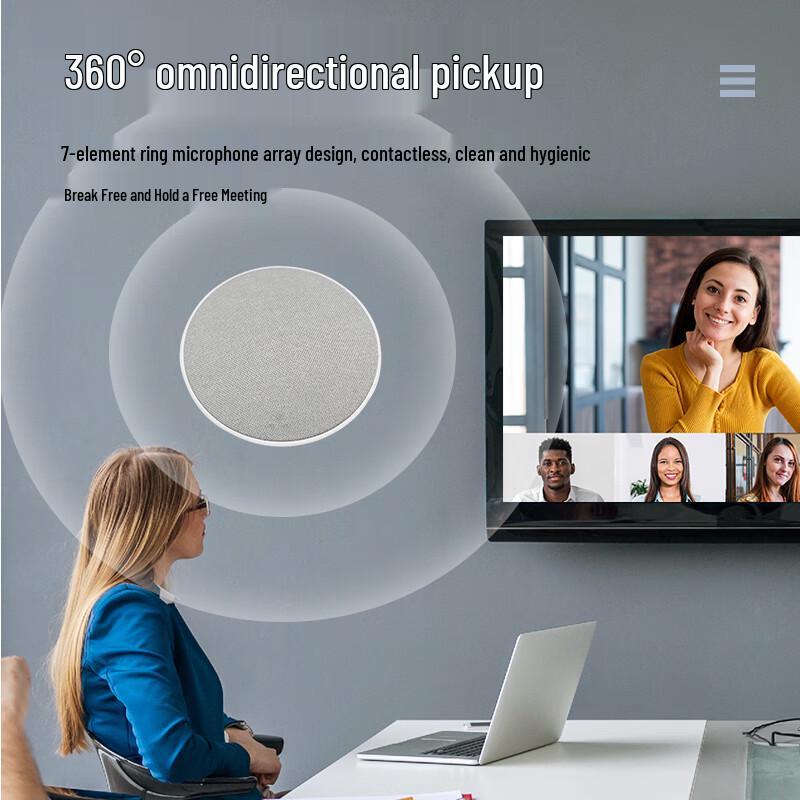 Suspended Array Omnidirectional Microphone (CN version)