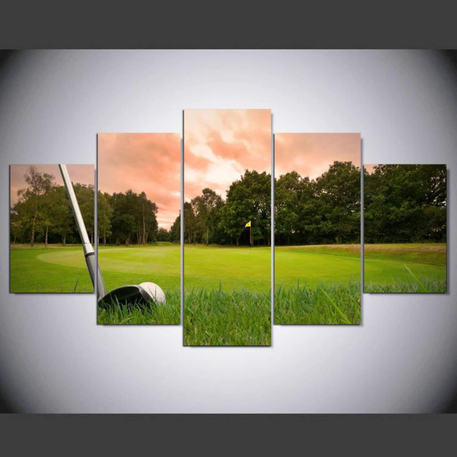 

Multi Panel 5 Canvas Wall Art Painting For Interior Decor 20X35 20X45 20X55CM