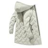 Down Jacket Men's New Winter Hooded Men's Large Size Personalized Medium and Long Handsome Coat