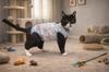 Postoperative Clothing for Cat Size Dog Apron Comfortable Cotton Teddy Bear
