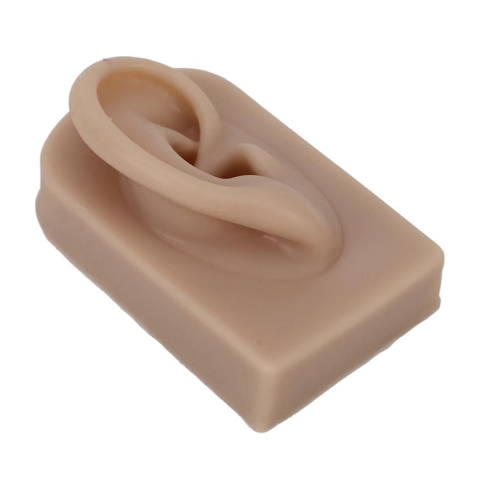 Silicone Ear Model Soft Flexible Right Ear Reusable Human Ear Model for Ear Piercing Training And Earrings Display Brown
