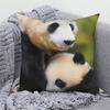 Cute Panda Print Decorative Cushion Cover Home Sofa Bed  Pillow