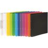Classeur A4 - PAGNA - 20901–01 - 2 Anneaux - 16 Mm - Polypropylène - Noir
