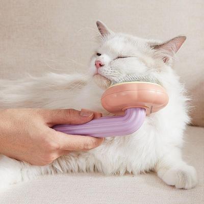 One-Touch Pumpkin Pet Brush C19SB