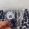 Sticky TPR Squishy Blueberry tangerine orange Stress Relief Squishy NEW Fidget Toys  Playsets,Mini Relief Squeeze Toys  Playsets